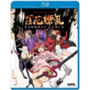Samurai+girls+complete+collection+review